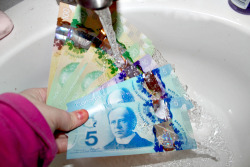 blobfishqueen:  spmib:  emxxma:  doritoshbu:  hik4te:  doritoshbu:  our money is waterproof and when you scratch the maple leaf it smells like maple  Go Canada  omg  Canada is a magical place  lol isn’t all money waterproof…….  I don’t think
