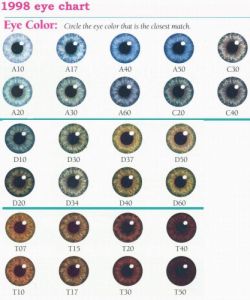 vashiane:  Natural Eye Color Chart 