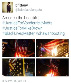 2damnfeisty:  jeniphyer:  bellecosby:  thequeenliz:  bellecosby:  thequeenliz:  fotp-friendofthepeople:  land-of-propaganda:  BREAKING NEWS  Protesters burn the American flag in honor of Mike Brown and VonDerrit Myers.  (10/09)  burn it to the ground.