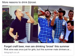 ejaysaurus:  nudityandnerdery:  meghanwaslike:  rageturtleswaggg:barbelllift-and-fooditem:  thejurassicjuan:  firelordsarah:  Omfg drinking wine is too feminine for you that you gotta call it “brosé” grow up  i can’t believe this nonsense  Manscato
