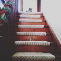 He always naps at the top of the stairs when we&rsquo;re out.  He didn&rsquo;t meet us at the door this time, so he must be pretty comfortable.  Haha