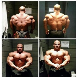 Big Ramy - Transformation pics Right pics before arnold classic brasil Left pics before mr olympia  Both around twelve weeks out