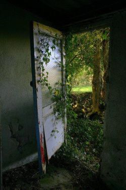 bluepueblo:  Door to the Past, Fahan, Ireland photo via ketty 