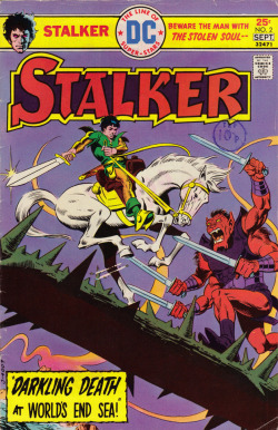 Stalker No. 2 (DC Comics, 1975). Cover art by Steve Ditko &amp; Wally Wood.From Oxfam in Nottingham.