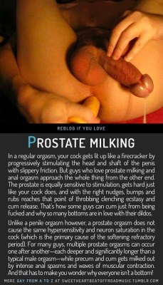 sweetheartbeatoffroadmusic:  PROSTATE MILKING. Find your thing: Gay From A to Z, view the full index alphabetically or by category, or check out my blog. Image source here. 