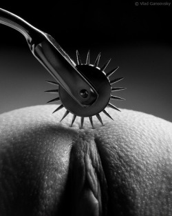 daddysdlg:   The Wartenberg Wheel  can be used to create all kinds of delicious sensations for a sub. Used lightly, it can tickle, while causing a sense of anticipation. With more pressure, it can cause sharp pain or break skin - so be sure to properly