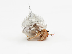  Aki Inomata’s | Crystalline 3D Printed Hermit Crab Shells are Inspired by the World’s Architectural Wonders Inomata starting thinking about the transitory habits of hermit crabs and their shells when the French Embassy moved in Tokyo and its land