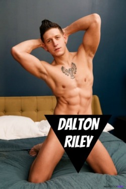 DALTON RILEY at NextDoor - CLICK THIS TEXT to see the NSFW original.  More men here: http://bit.ly/adultvideomen