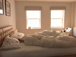 thewillowandfox:  bedroom light study // warm golden sunbeams 