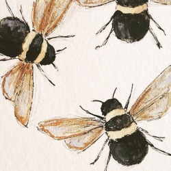 jpaddey:  Tumblr I am very busy and have no time for personal drawings, so here are some bees that I did awhile ago.  Busy bees…….  I’m sorry.