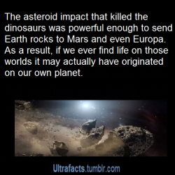 ultrafacts:  sweetpanda10:  thetimelordwizard:  intoxikatie:  ultrafacts:  More Ultrafacts (Source)  THIS IS BLOWING MY MIND RIGHT NOW.  This is called Panspermia, &amp; is a popular theory among many scientists about the origins of life on Earth. That