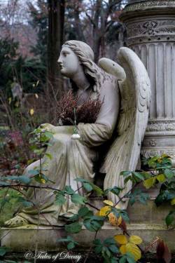 tales-of-decay:Maincemetery Kaiserslautern, Germany