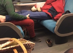 pro-gay:  teegzz: teamrocketing: this gay couple on the night train had actual chickens with them and i was certain i hallucinated it until i found the pictures just now  Being gay is so pure   @altonzm