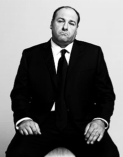 glamorncruelty-blog:  RIP James Gandolfini 1961 - 2013 James Gandolfini, whose portrayal of a brutal, emotionally delicate mob boss in HBO’s The Sopranos helped create one of TV’s greatest drama series and turned the mobster stereotype on its head,