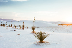 theriversandtheroads:  Dream World.  White Sands, New Mexico.  