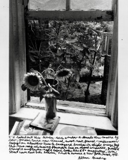 ginzyblog:I’d looked out this kitchen-table window a decade thru camera by now, garden court new cleared swept neat, fenced -midsummer leafage on ailanthus trees &amp; backyard bushes in slight breeze, gay club news mag shining flowerpot base on slipped