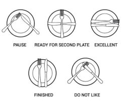 vvankinq:  itwastoobig-itdidntfit:  leakinginklikeblood:  lifemadesimple:  Plate Etiquette   I did not know this.    the only thing Tumblr hasn’t taught me    Waitresses obviously don’t know the etiquette because every time i pause they still try