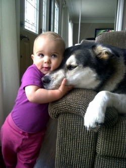 itsjadenexo:  epic-humor:  The only creatures that are evolved enough to convey pure love are dogs and infants.  I love this