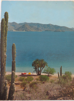 aestheticdivision: Baja California