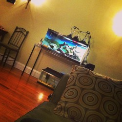 Laying on the couch watching Netflix and looking at my animal kingdom. #pets #home #beardie #fish #tanks #instaphoto