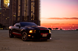 crappycrispycrackers:  Ford Mustang Shelby GT 500 