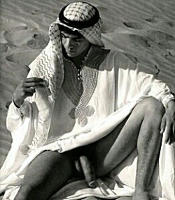 abdelbeur75:  Arab Désert sexy