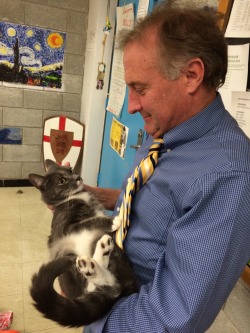 equestrianrepublican:hcwell:the highlight of my day was my teacher bringing his cat to school, and everytime he asked the class a question his cat would meow and he would accept it as an answer   Love it 10/10.