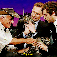 calum-hood: Tom Hiddleston talking to a Baby Leopard   (▰˘◡˘▰)  