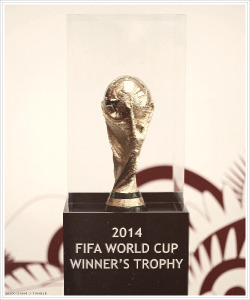 dsmithpellys:  fifa world cup 2014 trophy  