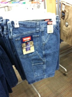 mydogsnokes:  mydogsnokes:  If this picture gets 5000 notes I will buy these shorts  you are all going to hell