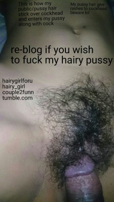 hairygirlforu:  hairygirlforu:  Re-blog if you wish to fuck my hairy pussy and I will find you. This is how my long bushy public/pussy hair get stick over cockhead and enter my pussy along with cock. If you don’t have practice or if your cockhead is
