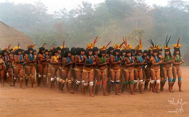 Nudist brazil naturist festival