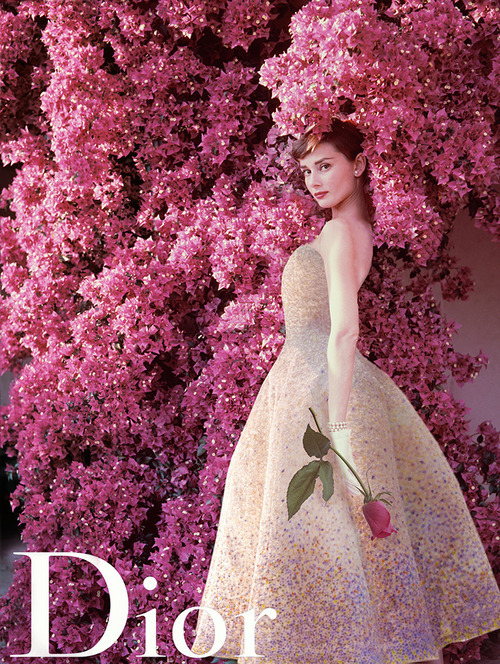 ディオール Miss Dior The Art Of Mike Mignola