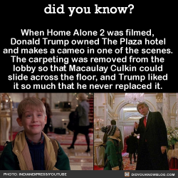 did-you-kno:  10 Home Alone 2 Facts That Will (Hopefully) Give You Tim Curry’s Evil Grin Right in Front of Your Family 1. Director Chris Columbus said filming the sequel was a lot more difficult to shoot than the first film, especially the airport scenes,