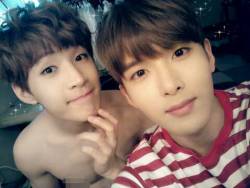 henryeowook:  Wook’s tweet: It’s nice to see Henry after a long time~~To protect? him, I mosaic-ed ~~ Henry-yah~ 143 I love you ♥ http://t.co/u6NpKyTrlN Heaven!!!! Henry’s nipple…. But wook mosaiced it… Huhuhu [Trans by nksubs] 