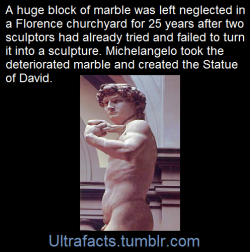ultrafacts:  For Michelangelo David proved to be a defining moment in his artistic career. The story begins with a commission for a statue of David dating as far back as 1466 when the artist Agostino di Duccio began work on the marble block. Agostino