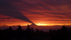 hiiighyelluh:  sixpenceee:Mount Rainier shadow casts on the sky at sunrise. It only happens when the sun rises farther to the south and has to be in the exact position to where Rainier blocks the first rays of morning light. (Source)  PNW