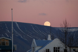 nawetgdyby:  Moonrise over Esja, a winter afternoon in Reykjavík. December 2010.