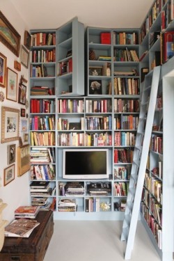embergale:  myend-ismybeginning:  Secret rooms concealed by bookcases  @xanelen 