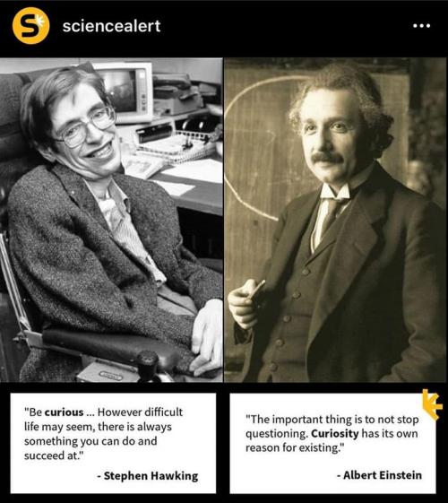 blondebrainpower:Albert Einstein March 14, 1879 – April 18 ,1955Stephen Hawking January 6, 1942 - March 14, 2018
