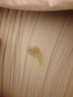 marketingslut:  A glass of wine and I’m fingering myself to stories of girls being spanked by older women and cumming on their legs. I came so hard I left a dirty little stain on my bed. My clit was so swollen and sensitive x 