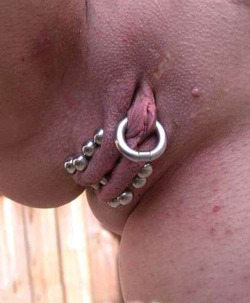 pussymodsgalore:  Labia bars, chastity piercing.