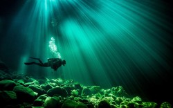 Into the emerald sea (diving near Campbell River, Canada)