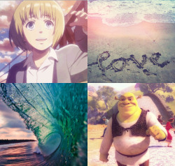 shrekmin:  accidentally in love / shrekmin au shrek and armin meet over the summer. it feels like the perfect love. they both get each other completely. but as summer comes to an end, will they be able to keep their romance alive? or will it sizzle out