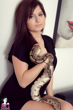 miss-aspen:  Sapphire SuicideMedusaSee more when you join suicidegirls.com  Follow me to see more suicide girls on your dash!  Part of today’s serpent feature!  If only I got my ball python in pics like these