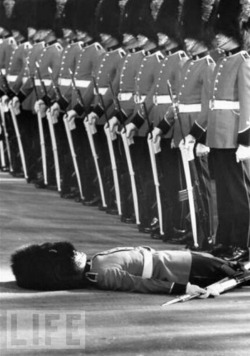 Member of British Honor Guard After Fainting During Ceremonies for Queen Elizabeth II - Crazy Military Parades.