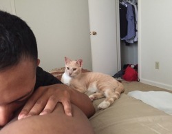 chakiya:  A picture of me getting my ass ate while my cat watches in horror. 