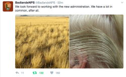 theamateur-professional:  The Badlands National Park, in response to Orange Julius Caesar imposing an EPA information blackout and banning the NPS from twitter after posting photos of his scarcely attended inauguration, went rogue and posted a series