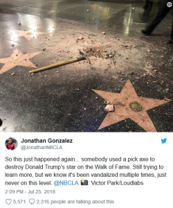 2handbags: midnight-spectrum-again:  seductively-eats-a-bagel:  crowley-is-dumb:  doubletranquility:  catchymemes:  Donald Trump’s Star on the Hollywood Walk of Fame is destroyed by man carrying a pickaxe in a guitar case.  Minecraft Steve off the shits