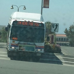 lonelytreestump:  Thank you bus. I really need someone right now
